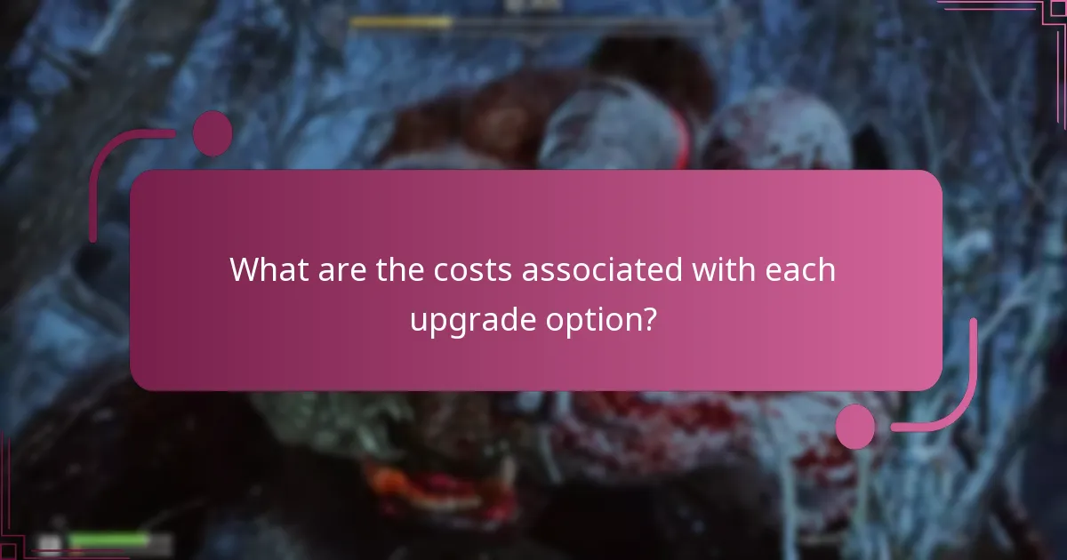 What are the costs associated with each upgrade option?